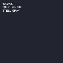 #222430 - Steel Gray Color Image